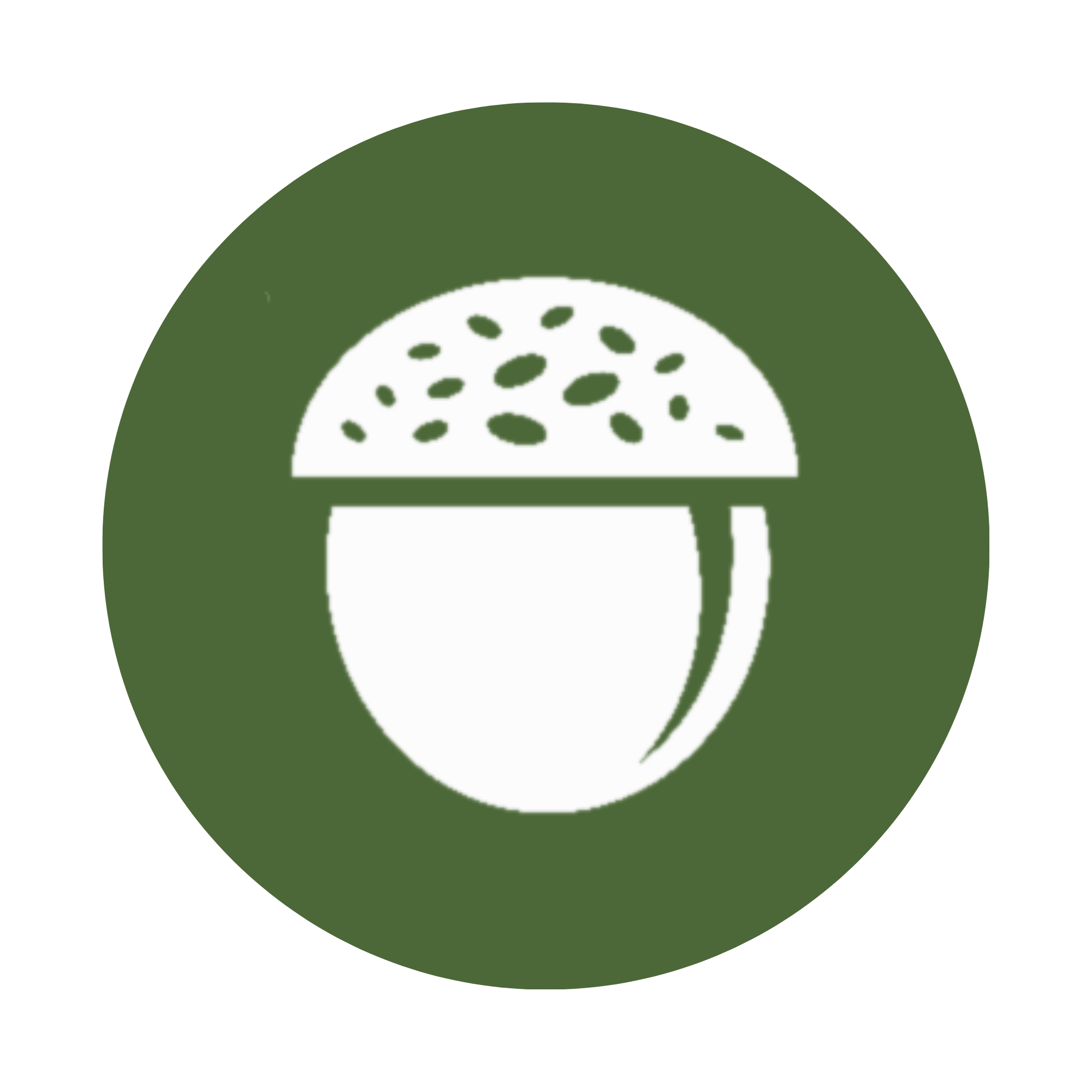 ACORN Conference logo