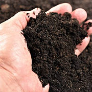 Soil-Centered Practices