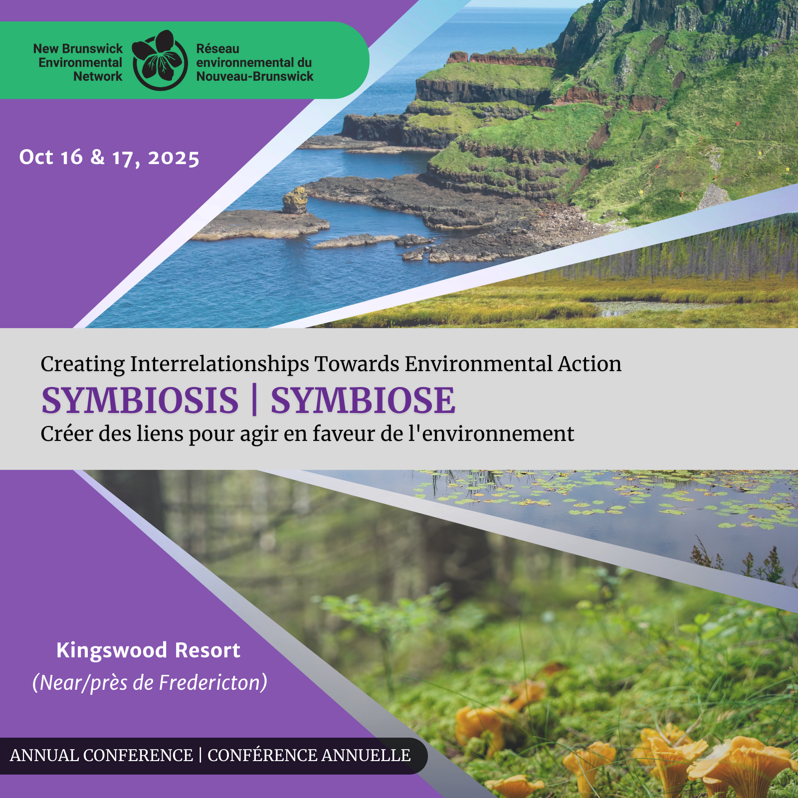 Symbiosis: Creating Interrelationships Towards Environmental Action
