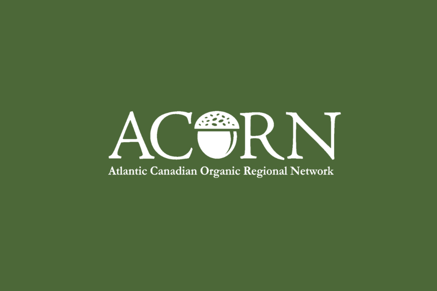 ACORN Hires Part-time Youth Intern
