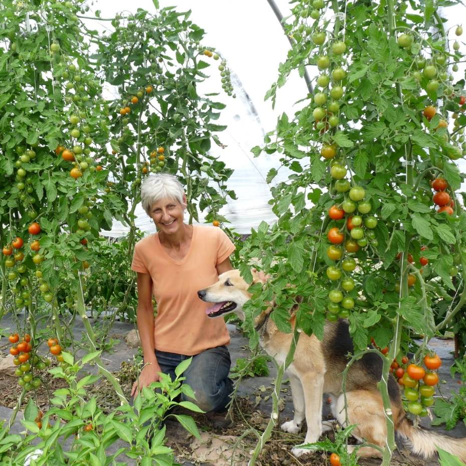 Alyson in the greenhouse among tomatoes