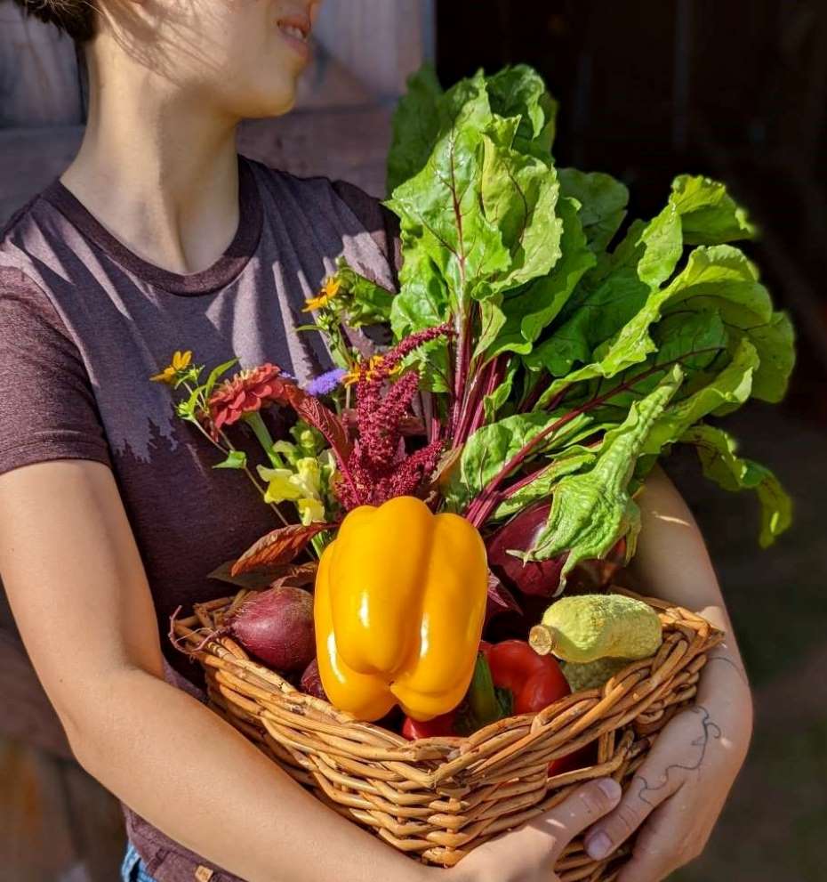 Person with basket of colourful vegetables.