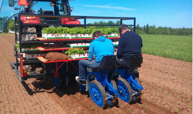 Middelkamp Organic Produce