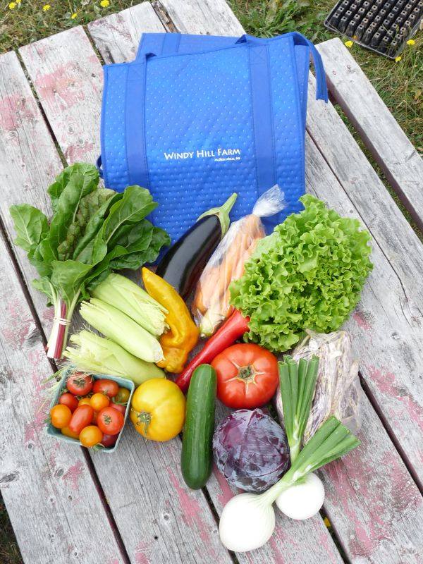 Windy Hill Organic Farm