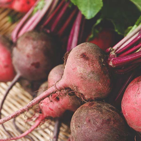 Organic Producers