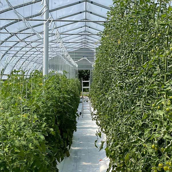 Farm Supplies