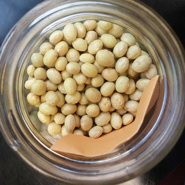 Local Seed
